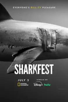 Sharks Up Close with Bertie Gregory